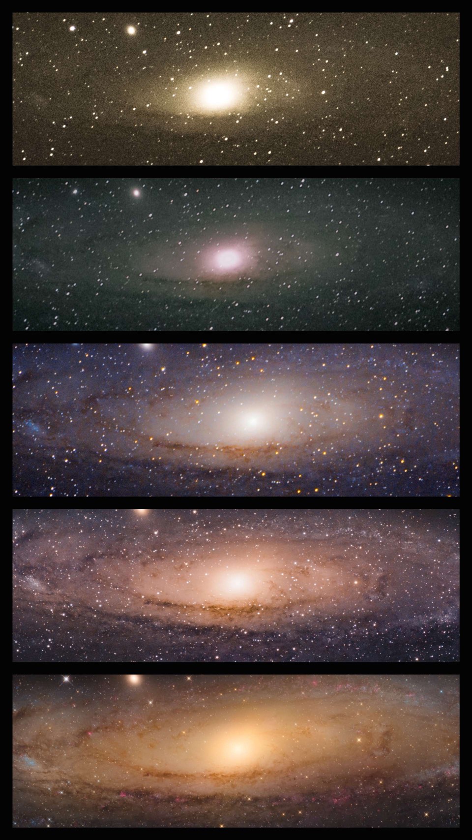 La galaxie d’Andromède M 31, photographiée par Sophie Paulin. 2x sans suivi, avec téléobjectif de 200 mm, 1x avec monture photo et téléobjectif de 200 mm avec téléconvertisseur, 1x avec monture photo et téléobjectif de 600 mm, 1x avec télescope de Newton 8" f/4.5.