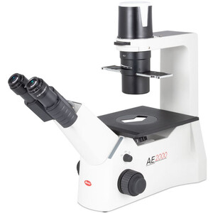 Microscope inversé Motic AE31E bino, infinity, 40x-400x, phase, Hal, 30W